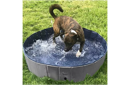 Skládací bazén pro psa - 100 x 30 cm