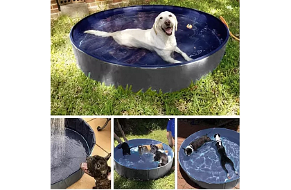 Skládací bazén pro psa - 100 x 30 cm