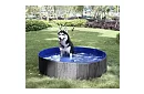 Skládací bazén pro psa - 100 x 30 cm