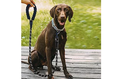 Silné výcvikové vodítko pro velkého psa - 5 m