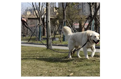 Silné výcvikové vodítko pro velkého psa - 5 m