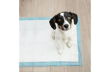 Absorpční hygienické podložky 100 ks – 60x40 cm + sáčky na exkrementy