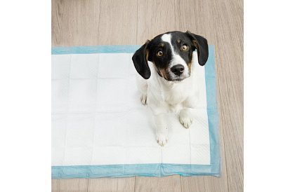 Absorpční hygienické podložky 100 ks – 60x40 cm + sáčky na exkrementy