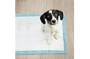 Absorpční hygienické podložky 100 ks – 60x40 cm + sáčky na exkrementy