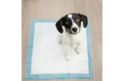 Absorpční hygienické podložky 50 ks – 60x60 cm + sáčky na exkrementy