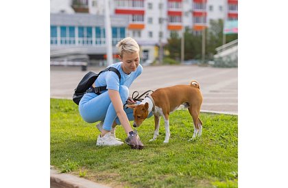 Absorpční hygienické podložky 100 ks – 60x60 cm + sáčky na exkrementy