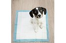 Absorpční hygienické podložky 100 ks – 60x60 cm + sáčky na exkrementy