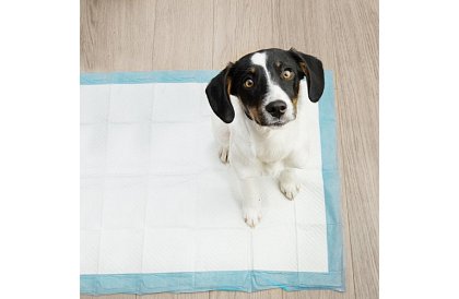 Absorpční hygienické podložky 100 ks – 60x90 cm + sáčky na exkrementy