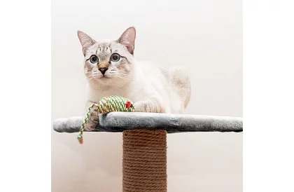 Šedé škrabadlo pro kočky - 71 x 44 x 34 cm