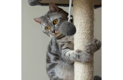 Šedé škrabadlo pro kočky - 71 x 44 x 34 cm