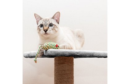 Šedé škrabadlo pro kočky - 71 x 44 x 34 cm