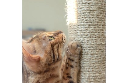 Šedé škrabadlo pro kočky - 71 x 44 x 34 cm