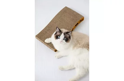 Mobilní škrabadlo pro kočku – 22,5 x 43 cm