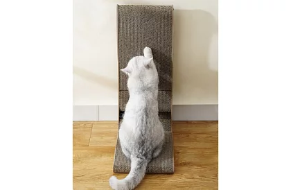 Kočičí škrabadlo s hračkou - DUO