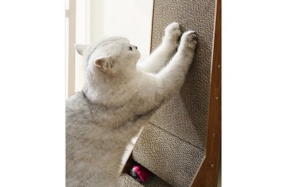 Kočičí škrabadlo s hračkou - DUO