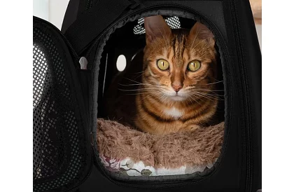 Přepravka - cestovní taška na zvířata - černá