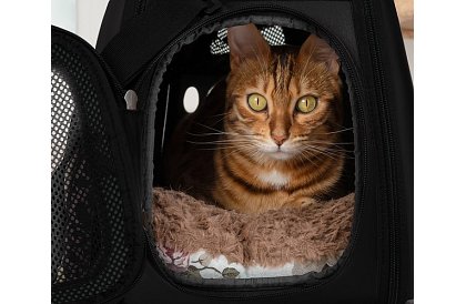 Přepravka - cestovní taška na zvířata - černá