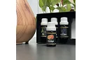 Sada esenciálních olejů – 6 ks po 10 ml