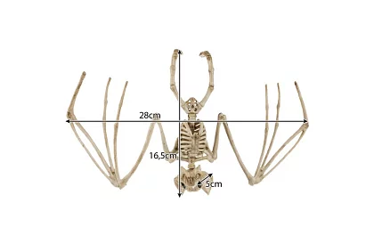 Kostra netopýra 30 cm - halloweenská dekorace
