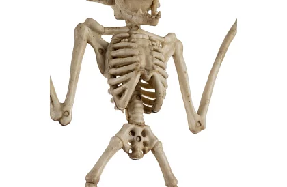 Kostra netopýra 30 cm - halloweenská dekorace