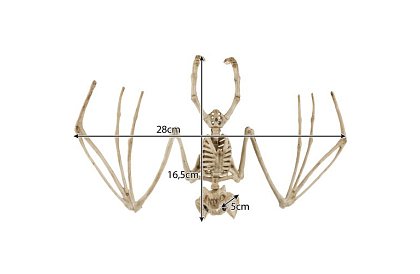 Kostra netopýra 30 cm - halloweenská dekorace