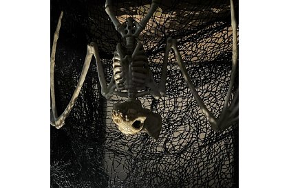 Kostra netopýra 30 cm - halloweenská dekorace