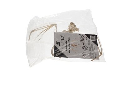 Kostra netopýra 30 cm - halloweenská dekorace