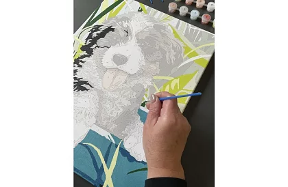 Malování podle čísel - pes - 40x30 cm