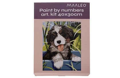 Malování podle čísel - pes - 40x30 cm