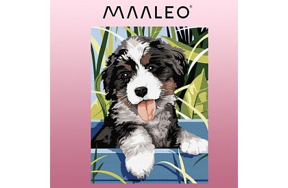Malování podle čísel - pes - 40x30 cm