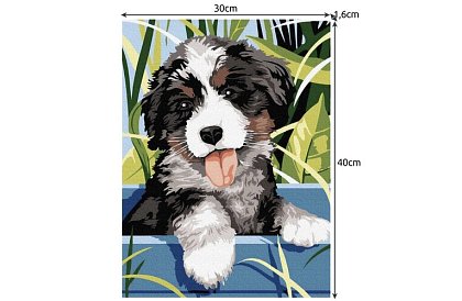 Malování podle čísel - pes - 40x30 cm