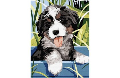 Malování podle čísel - pes - 40x30 cm