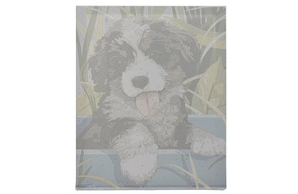 Malování podle čísel - pes - 40x30 cm