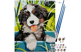 Malování podle čísel - pes - 40x30 cm