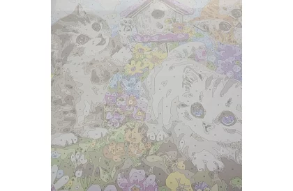 Malování podle čísel - kočky - 40x50 cm