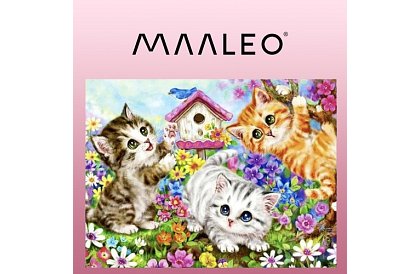 Malování podle čísel - kočky - 40x50 cm