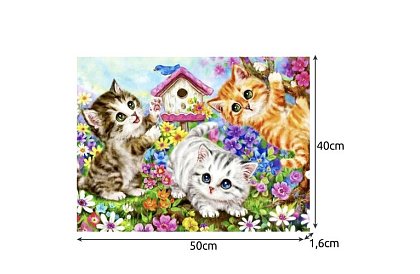 Malování podle čísel - kočky - 40x50 cm