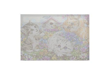 Malování podle čísel - kočky - 40x50 cm