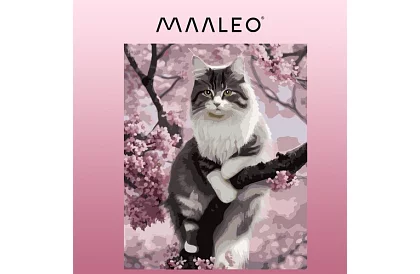 Malování podle čísel - kočka - 40x50 cm