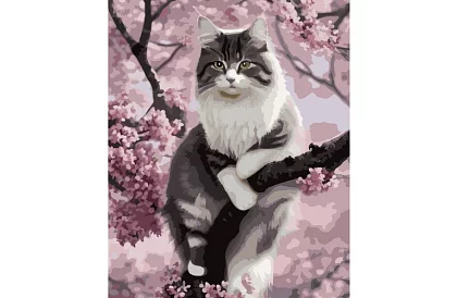 Malování podle čísel - kočka - 40x50 cm