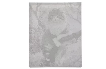 Malování podle čísel - kočka - 40x50 cm