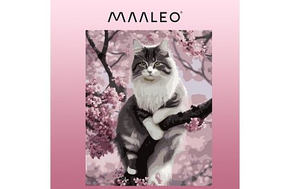 Malování podle čísel - kočka - 40x50 cm