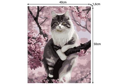 Malování podle čísel - kočka - 40x50 cm