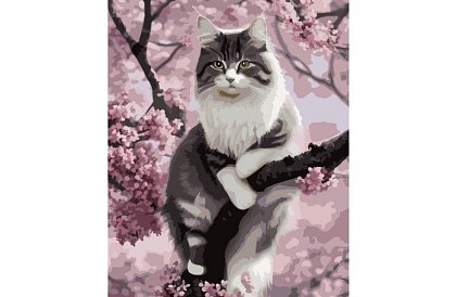 Malování podle čísel - kočka - 40x50 cm