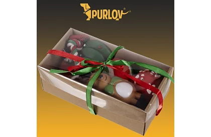 Sada hraček pro psa - 6 kusů