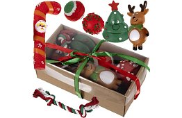 Sada hraček pro psa - 6 kusů