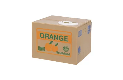 Automatická pokladnička - kotě zlodějka mincí