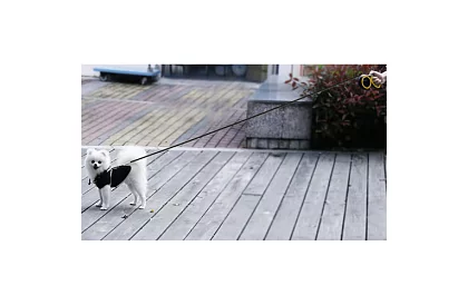 Automatické Flexi vodítko do 50 kg – 8 m