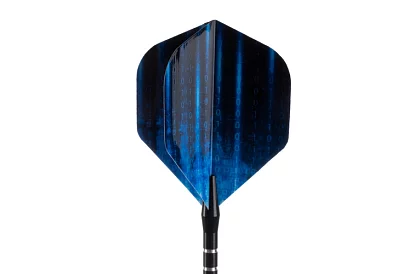 Sada šipek – 12 kusů + 100 hrotů