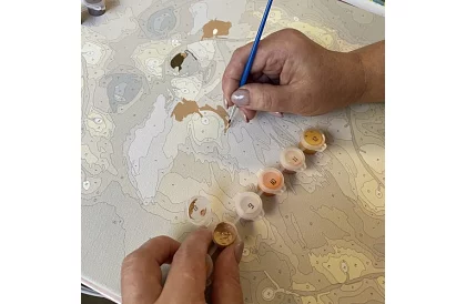 Malování podle čísel - liška - 40x50 cm